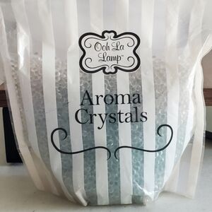 Eucalyptus Mint Scented Crystals for Warmer does not melt Home Interiors Retired